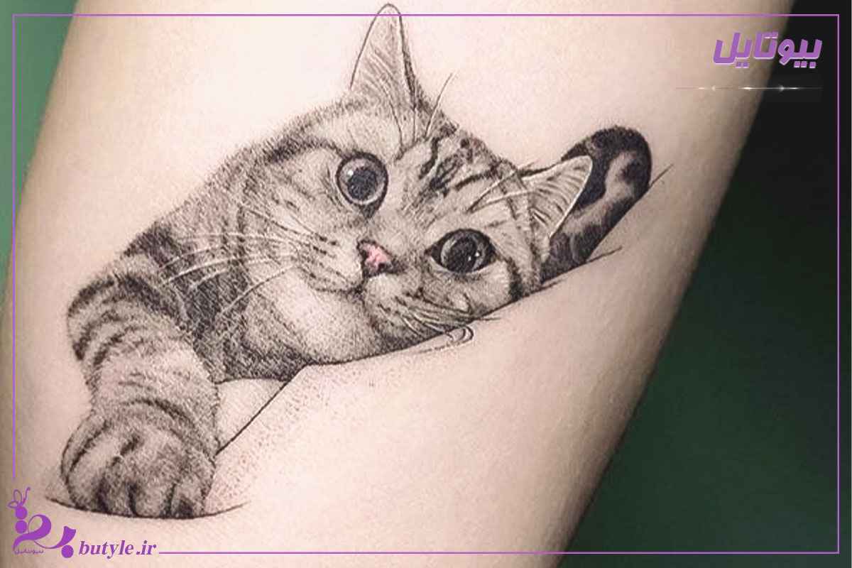 عکس تتو گربه روی دست