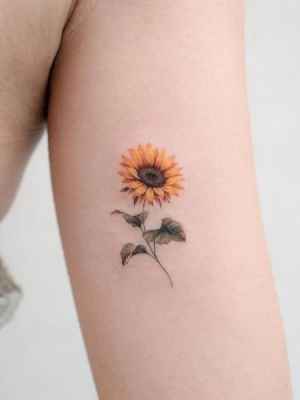 تاتو گل آفتابگردان روی بازو